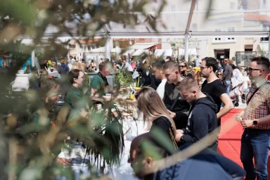 24 Tuna, Sushi _ Wine Festival Zadar 21.4.2023 jutro, foto Bojan Bogdanić