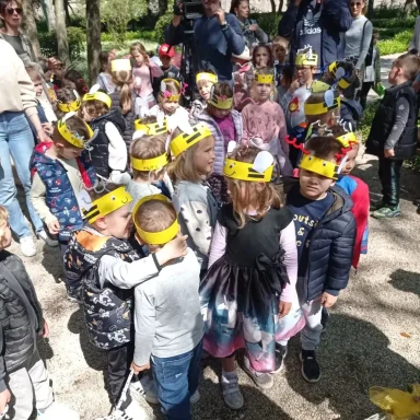 342486380_530353715959475_2412200968101870848_n