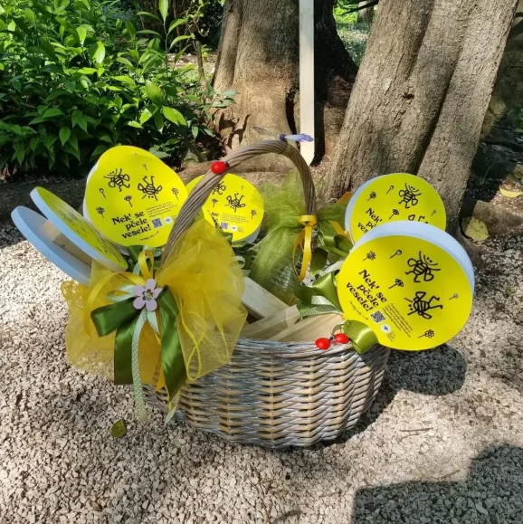 342824839_1880996548960110_8197976648345993576_n