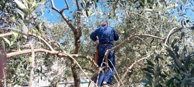 343402101_908874296892366_1370702214406658149_n