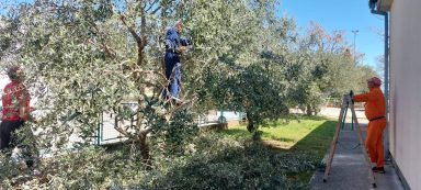 343404884_1414796039096661_525151601208212878_n