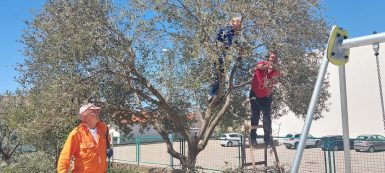 343624136_1774214329646932_1898708050838494755_n