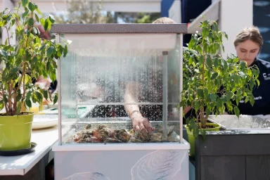 43 Tuna, Sushi _ Wine Festival Zadar 21.4.2023 jutro, foto Bojan Bogdanić