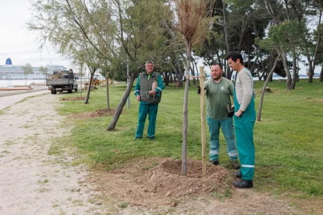 8 Sadnja stabala Zadar 19.4.2023, Foto Bojan Bogdanić