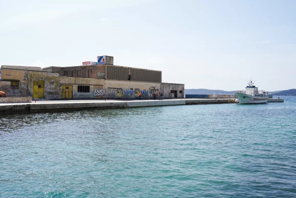 Fosa FOTO Matija Lipar_-2