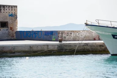 Fosa FOTO Matija Lipar_-7