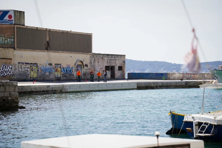 Fosa FOTO Matija Lipar_