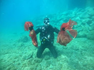 Zajedno protiv morskog otpada_Silba (3)