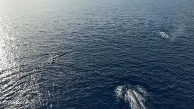 344536212_257272066670858_3952618537084492739_n