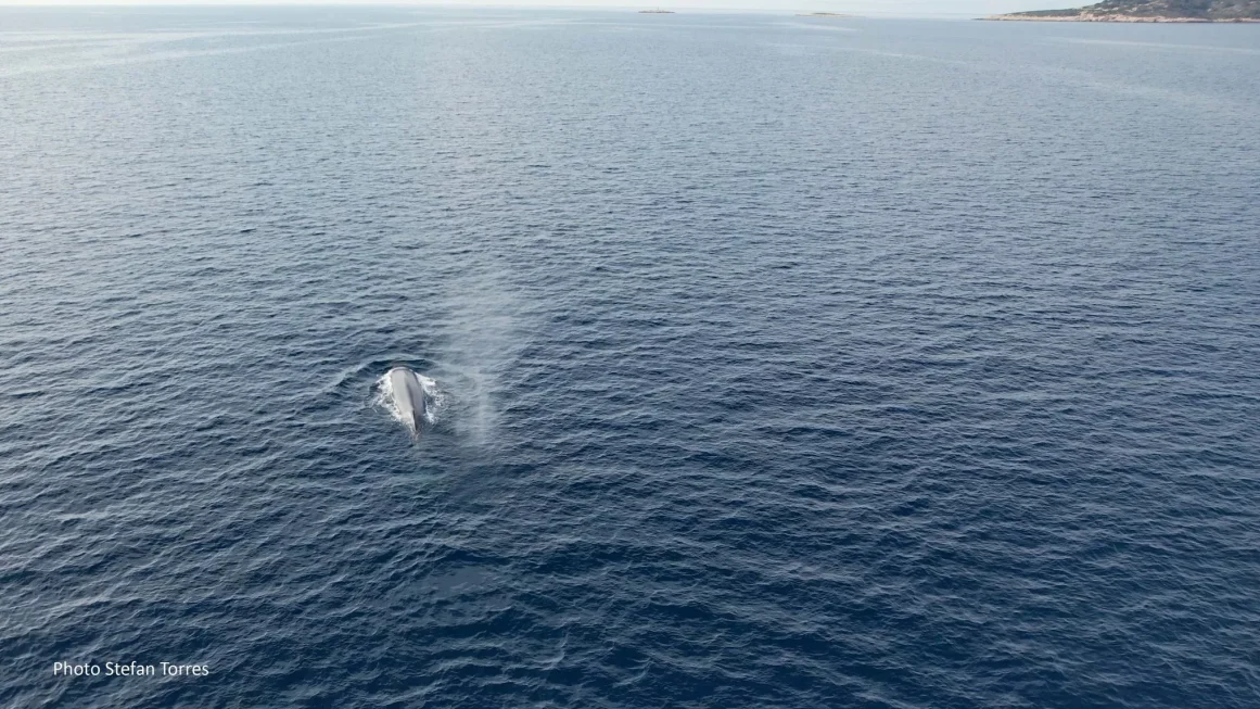 344748131_261975296272464_1829692438126612497_n