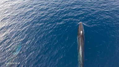 344752290_1938363799858407_1112132046946122290_n