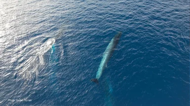 344852028_1723975014687050_7690668099746387664_n