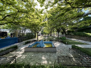 346158643_1643589759437806_2505705832584606938_n