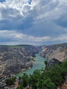 348354849_268508302228359_2713904976246603119_n