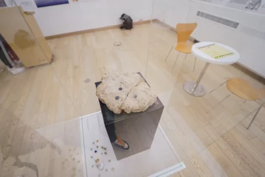 Drustvene igre FOTO Matija Lipar_-7