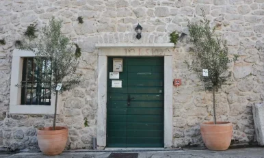 Sadnja-stabala-masline-i-tamarisa-TZO-4_e