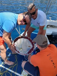 uzorkovanje planktona 20235