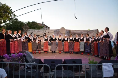 358439694_991026628968296_7632244702280831674_n