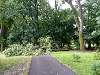 358649084_778397300953798_2720337035049176948_n