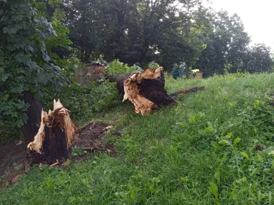 358651849_778397157620479_4829994282722739520_n