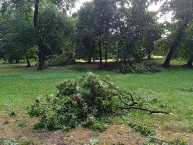 358661092_778410817619113_4001599926670197629_n