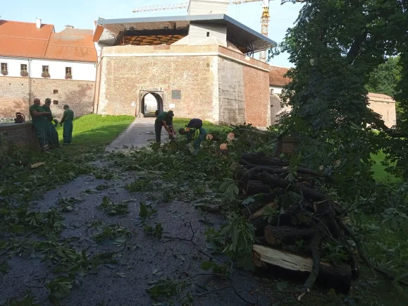 358663291_778397104287151_1359879307528806578_n