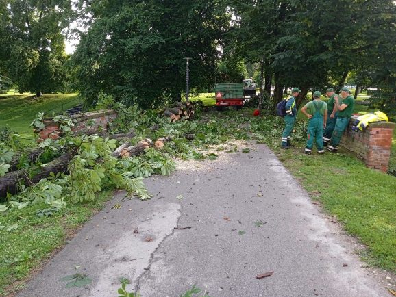 358664331_778397067620488_4347684333183553064_n