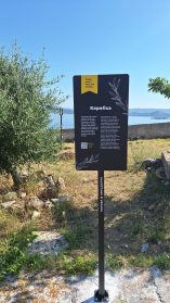 360085883_583443327296171_3643813827797358622_n