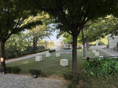 360243235_1021392542189028_563016479668669514_n