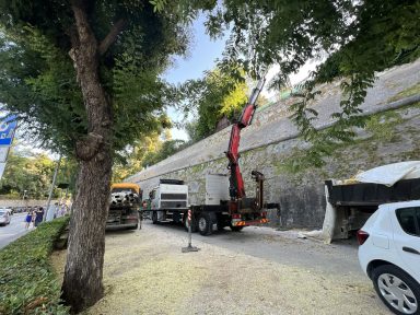 362168140_295163999554380_4212538321661143520_n