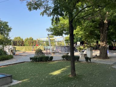 362175663_838592717273608_3715497929499238999_n