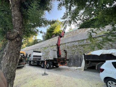 362208696_915598992871558_4502890826614372179_n