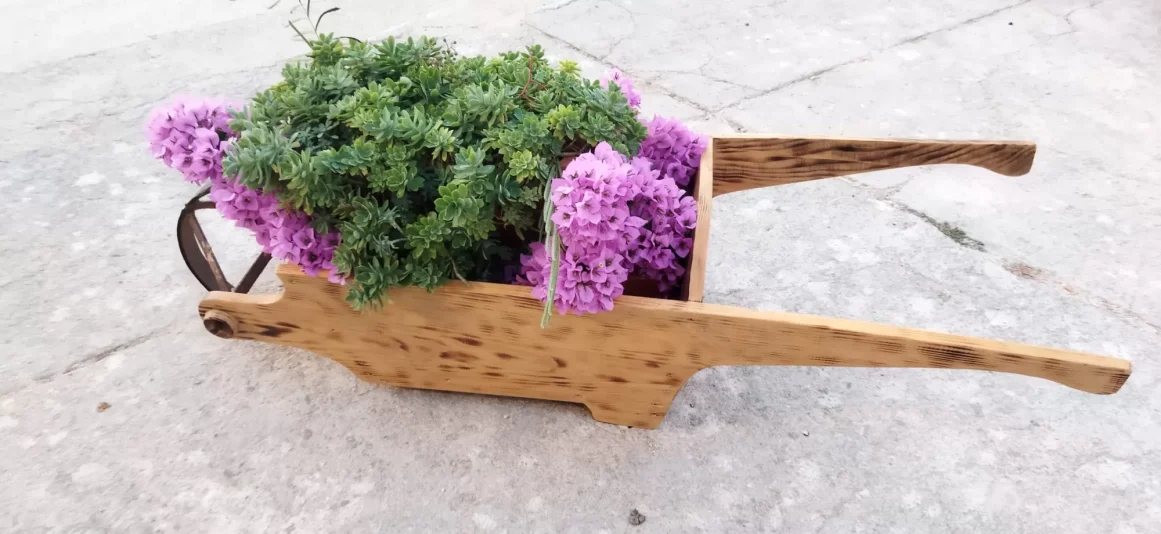 362688693_586549743652196_2305173288836441196_n