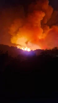 363835472_615086527435441_226781887513947602_n