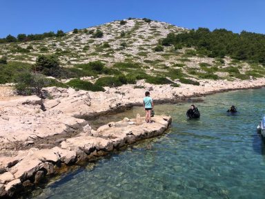 WhatsApp Image 2023-06-30 at 18.24.45