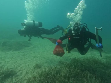 WhatsApp Image 2023-07-02 at 22.30.15