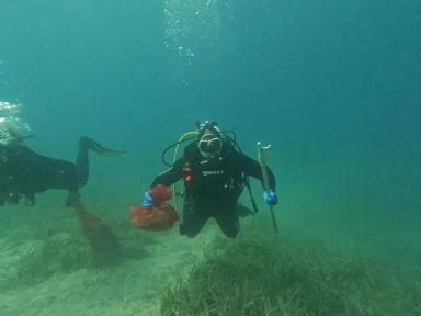 WhatsApp Image 2023-07-02 at 22.30.16