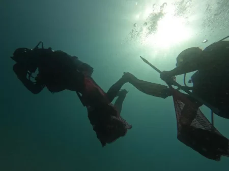 WhatsApp Image 2023-07-02 at 22.30.16(2)