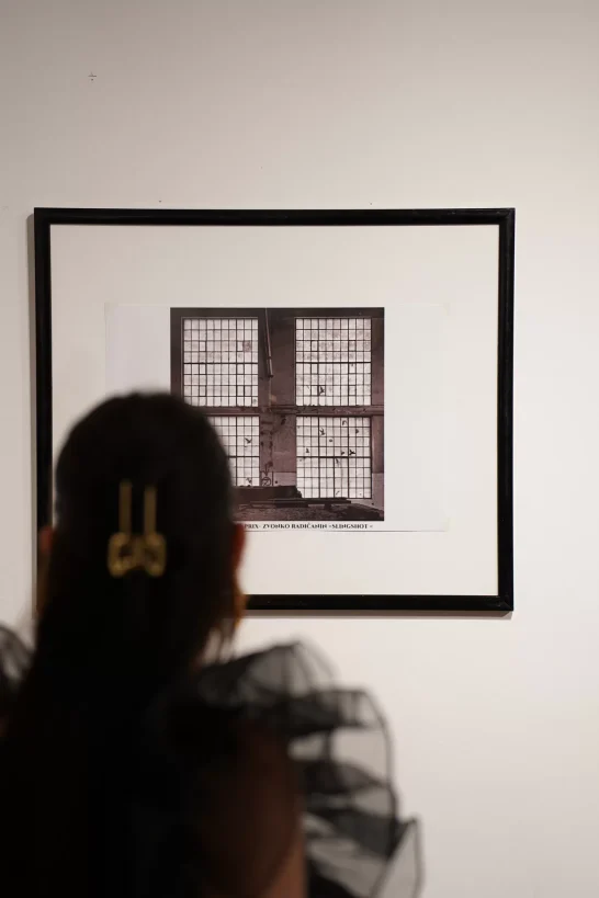 izlozba Hitchcock nights FOTO Matija Lipar-10