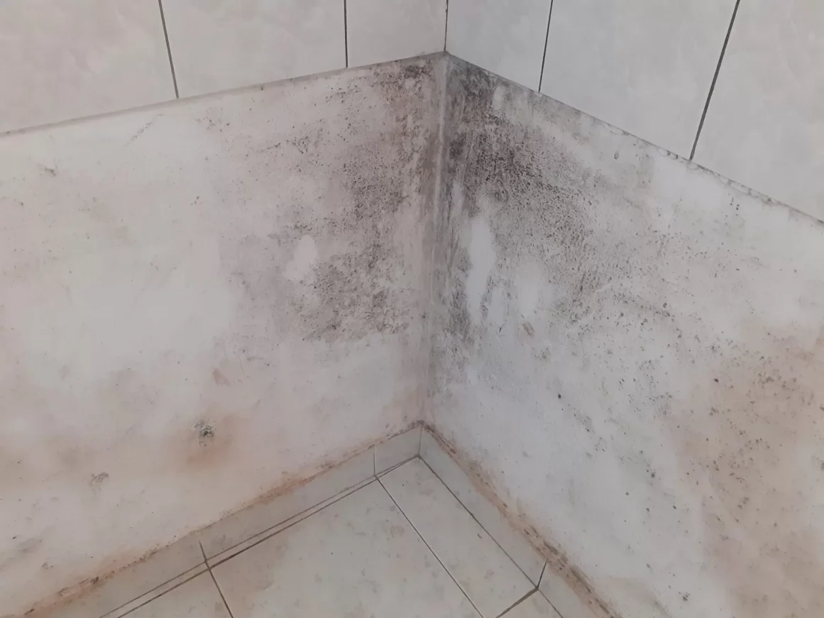 378868047_288378007419537_1419869346122084029_n