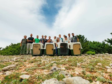 Članovi projektnog tima