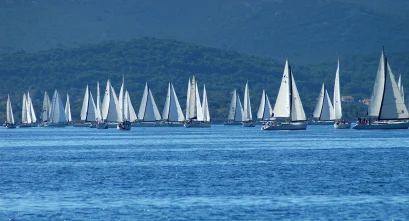 T-M-Bilosnić-Daleka-jedra