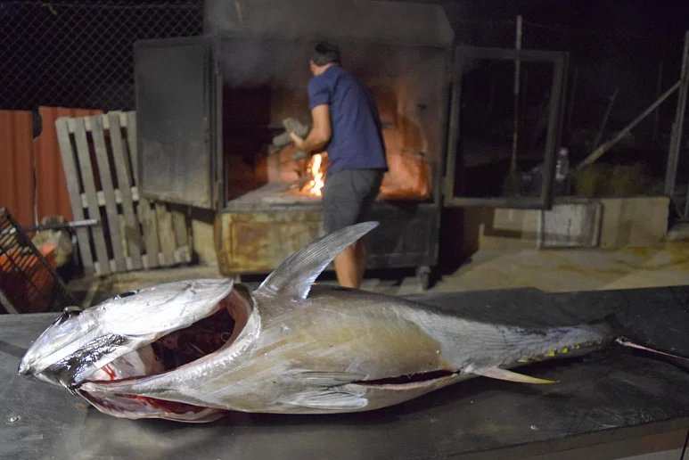 big game fishing silba11