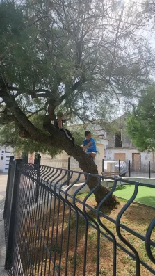 djeca budinic preko 5