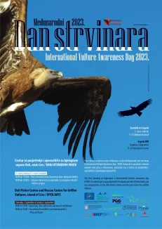 plakat_dan_strvinara