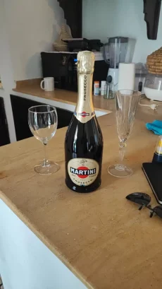 potres marakes drago palestrina mazic 16