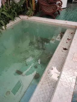 potres marakes drago palestrina mazic 3