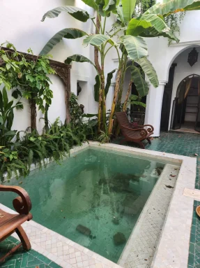 potres marakes drago palestrina mazic 6