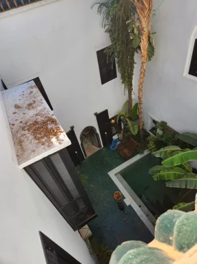 potres marakes drago palestrina mazic 7