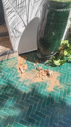 potres marakes drago palestrina mazic 9